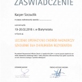 Powiększ obraz: certificate 6