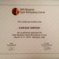 Powiększ obraz: certificate 6