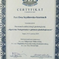 Powiększ obraz: certificate 2