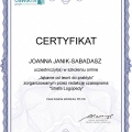Powiększ obraz: certificate 9