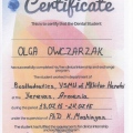 Powiększ obraz: certificate 2