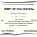 Powiększ obraz: certificate 26