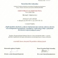 Powiększ obraz: certificate 30