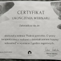Powiększ obraz: certificate 11
