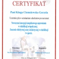 Powiększ obraz: certificate 3