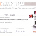 Powiększ obraz: certificate 8