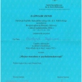 Powiększ obraz: certificate 19