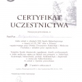 Powiększ obraz: certificate 19