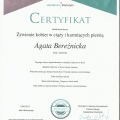 Powiększ obraz: certificate 4