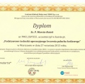 Powiększ obraz: certificate 13