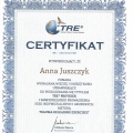 Powiększ obraz: certificate 4