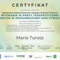 Powiększ obraz: certificate 13