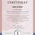 Powiększ obraz: certificate 34
