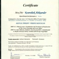 Powiększ obraz: certificate 19