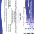 Powiększ obraz: certificate 4