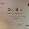 Powiększ obraz: certificate 4