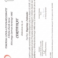 Powiększ obraz: certificate 22