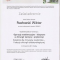 Powiększ obraz: certificate 11