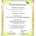 Powiększ obraz: certificate 12