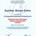 Powiększ obraz: certificate 10