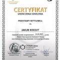 Powiększ obraz: certificate 19