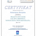 Powiększ obraz: certificate 8