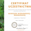 Powiększ obraz: certificate 29