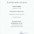 Powiększ obraz: certificate 4