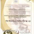 Powiększ obraz: certificate 19