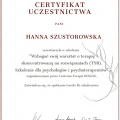 Powiększ obraz: certificate 2