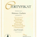 Powiększ obraz: certificate 22
