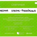 Powiększ obraz: certificate 13