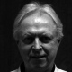 Andrzej Polaszewski