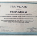 Powiększ obraz: certificate 2