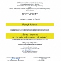 Powiększ obraz: certificate 4