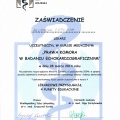 Powiększ obraz: certificate 2