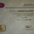 Powiększ obraz: certificate 2