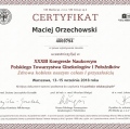 Powiększ obraz: certificate 44