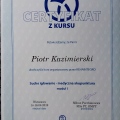 Powiększ obraz: certificate 4