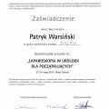 Powiększ obraz: certificate 7