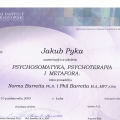 Powiększ obraz: certificate 4