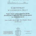 Powiększ obraz: certificate 36