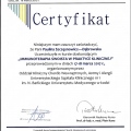 Powiększ obraz: certificate 3