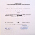 Powiększ obraz: certificate 9
