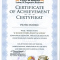 Powiększ obraz: certificate 9