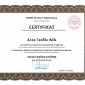 Powiększ obraz: certificate 2