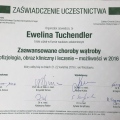Powiększ obraz: certificate 5