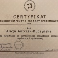 Powiększ obraz: certificate 4