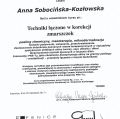 Powiększ obraz: certificate 9