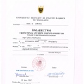 Powiększ obraz: certificate 1